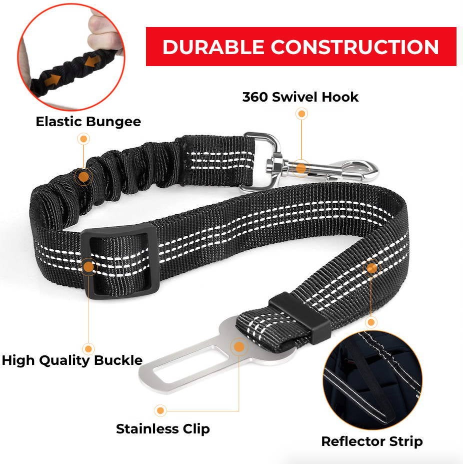 It's Against the Law to Travel With an Unrestrained Dog!